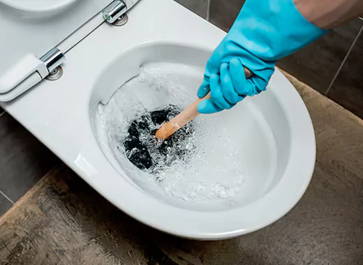 Drain Power Flush Services in Corman, Hamilton