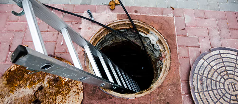 Emergency Sewer Replacement Services in Corman, Hamilton